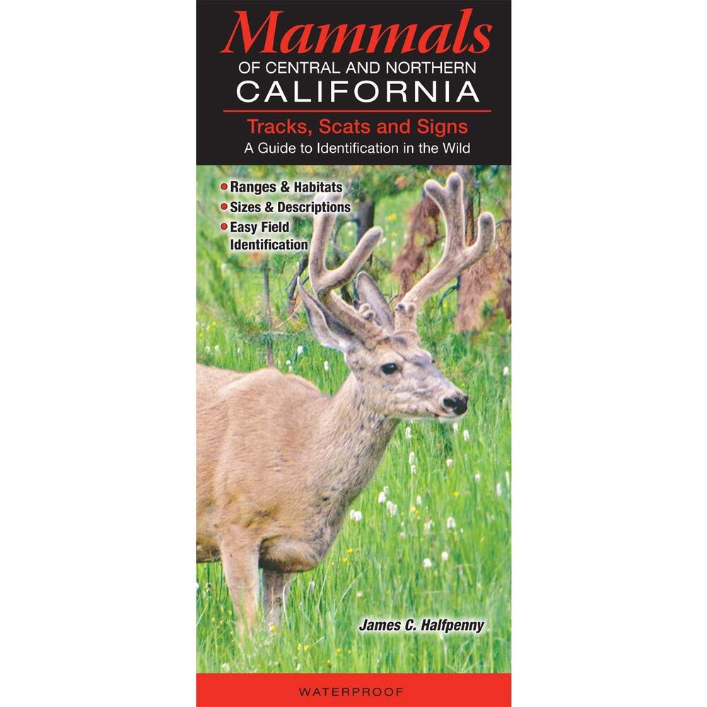 Tracks, Scats and Signs of Central - Northern California Wildlife : A Guide...